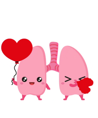 Lungs Breathing Oxygen From Circulatory System GIF