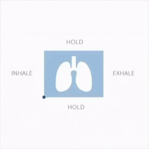 Lungs With Hold Inhale Exhale GIF