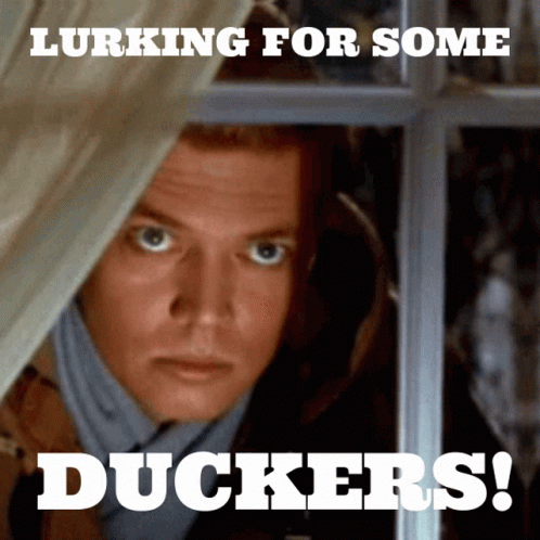 Lurking For Some Duckers GIF