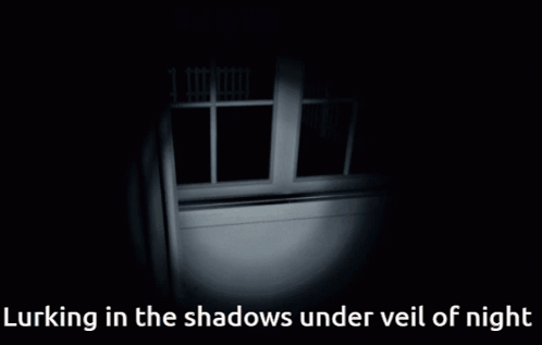 Lurking In The Shadows Under Veil Of Night GIF