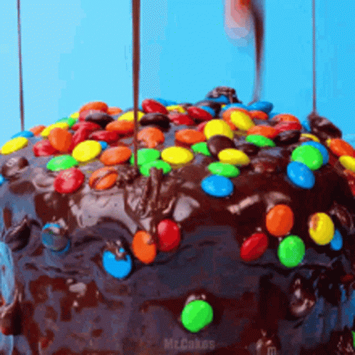 Luscious Chocolate Moist Cake Candy Toppings GIF