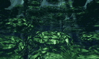 Luscious Green Forest GIF