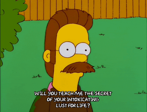 Lust For Life Ned Flanders The Simpsons GIF