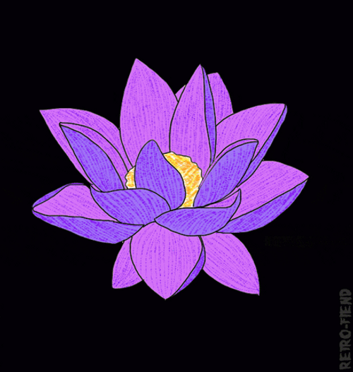 Lutos Tumblr Flower Animation Blinking GIF
