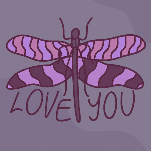 Luv U Purple Insect Dragonfly GIF