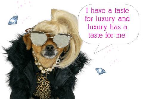 Luxury Has Taste For Me Mushu GIF