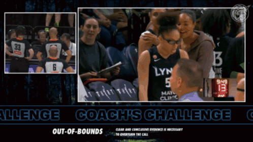 Lynx Player Talks To Coach In Stands GIF
