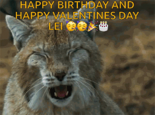 Lynx Yawning With Happy Birthday And Valentines Lei GIF