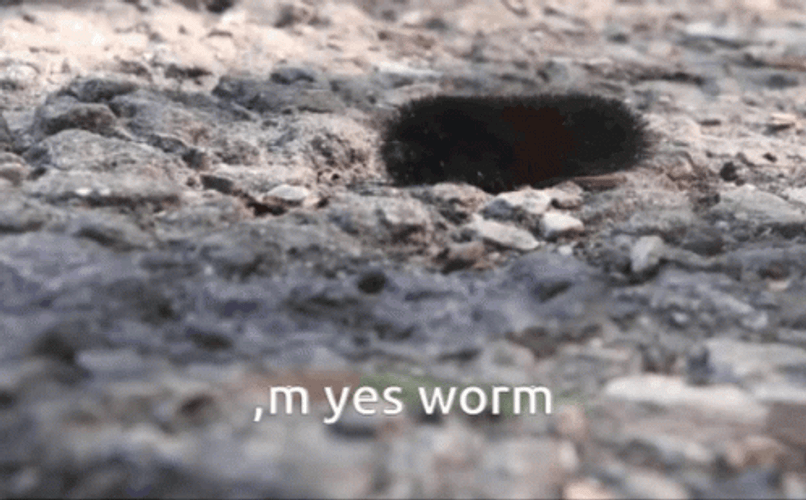 M Yes Worm GIF