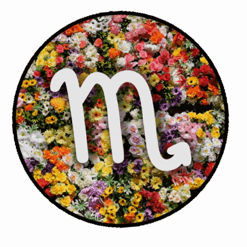 M Zodiac Signs Flowers Sticker Scorpio GIF