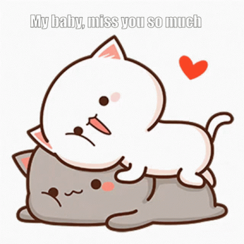 Cute Peach And Goma Cuddle Missing You GIF