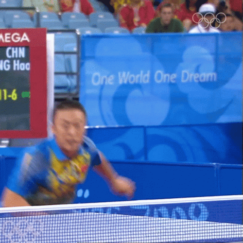 Ma Lin Ping Pong Play GIF