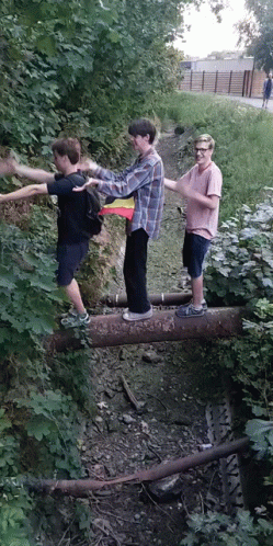 Macarena Kids Dancing On Log GIF