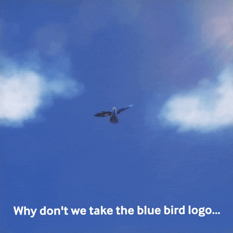 Macaw Blue Birds GIF