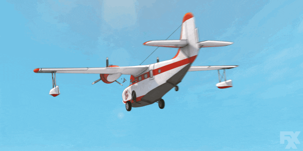 Macaw Fell From Plane GIF