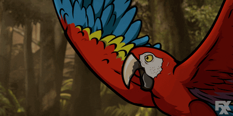 Macaw Got Choked GIF