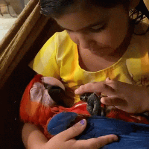 Macaw Got Cuddled Baby GIF