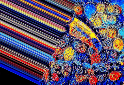 Macaw Mosaic Art GIF