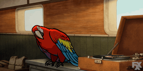 Macaw Swaying Bird GIF