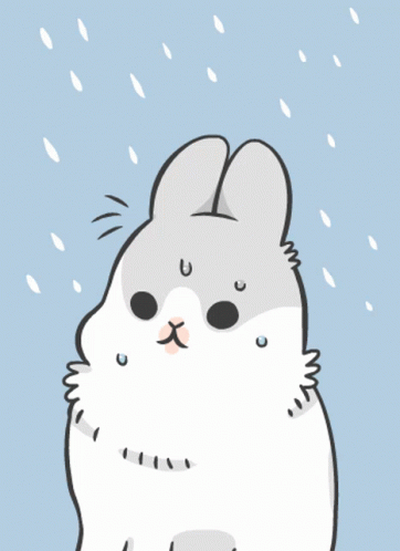 Machiko Rabbit Spotlight GIF