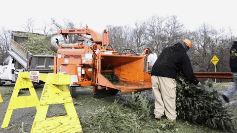 Machine Generating Mulch From Tree With Leaves GIF