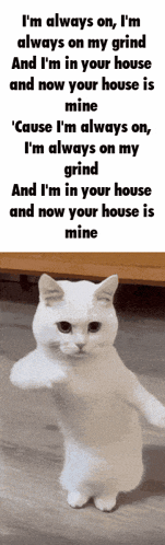 Machine Girl Grindhouse Gif GIF