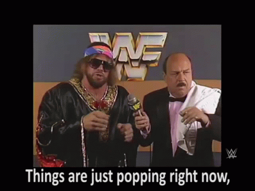 Macho Man Real Colorful Interview GIF