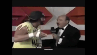 Macho Man The Participant GIF