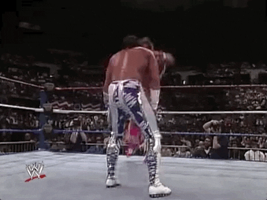 Macho Man Wrestling Knock Off GIF