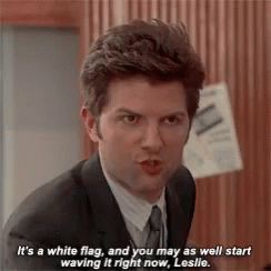 Mad Ben Wyatt Wave The White Flight Now GIF
