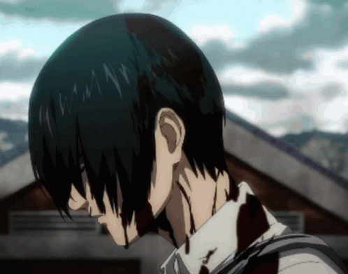 Mad Mikasa Full Of Blood GIF