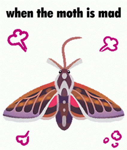Mad Moth Saying When The Moth Is Mad GIF