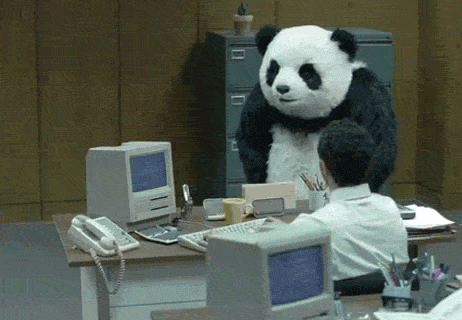 Mad Panda At The Office GIF