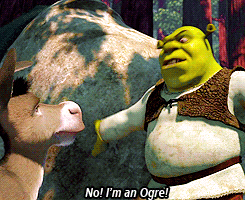 Mad Shrek Chatting With Donkey GIF