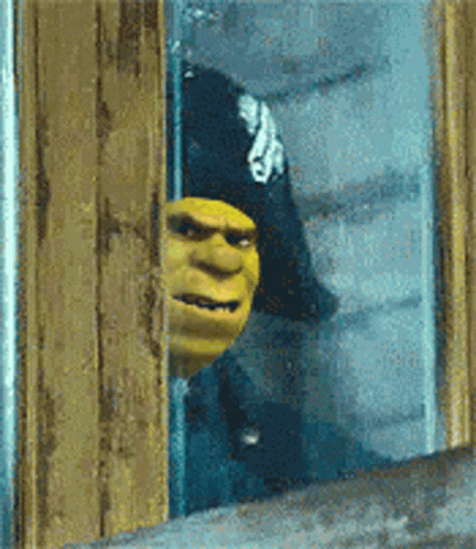 Mad Shrek In Pirate Costume GIF