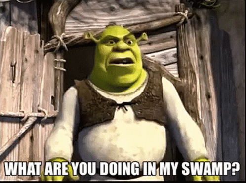 Mad Shrek Shouting At Someone GIF