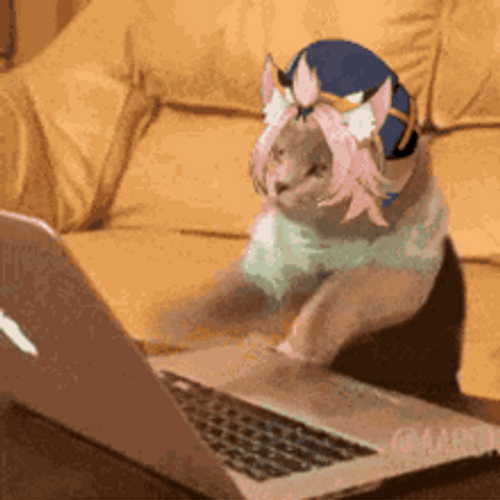 Mad Typing Cat Cute Headband GIF