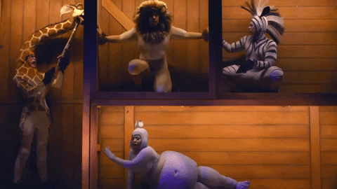 Madagascar Animals In Cargo GIF