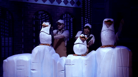Madagascar Penguins GIF
