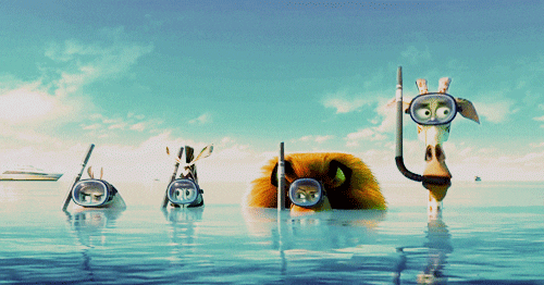 Madagascar Underwater Spies GIF