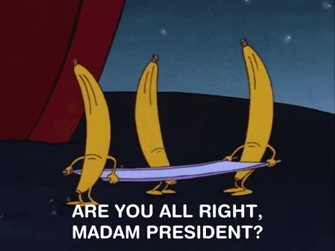 Madam President Rockos Modern Life GIF