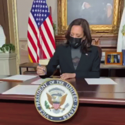 Madam Vice President Kamala Harris Highlighting Texts GIF