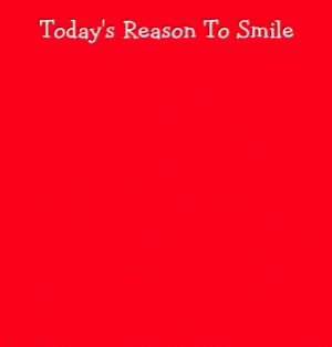 Made It Through Monday Smile GIF