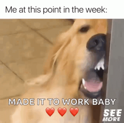 Made It Working On Sunday Baby GIF