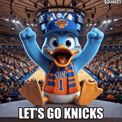 Madison Square Garden Duck in Nick 1 Jersey