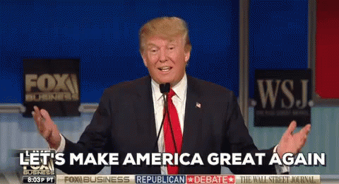 Maga Donald Says Make America Great Again GIF