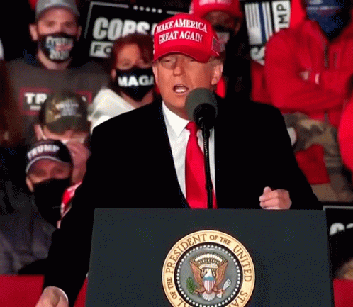 Maga Donald Speech GIF