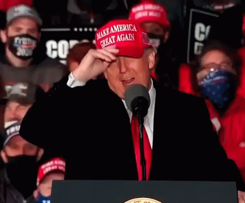 Maga Donald Trump Cap GIF