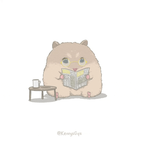 Magazine Cute Guinea Pig GIF