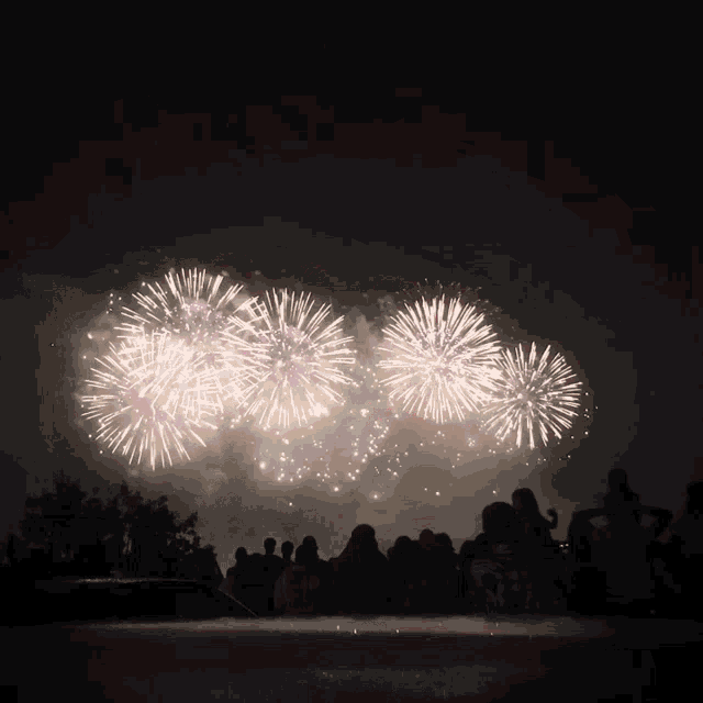 Magical Chrysanthemumfireworks GIF